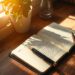 Diary Entries