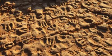 Footprint