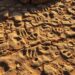 Footprint