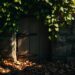 Hidden Door