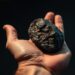 Meteorite