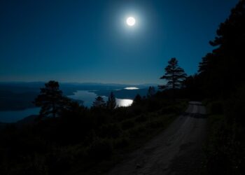Moonlight Path
