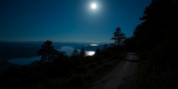 Moonlight Path