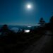 Moonlight Path
