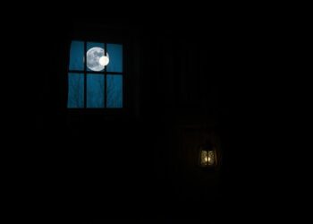 Night Visitor