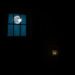 Night Visitor