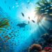 Underwater