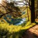 Windy Path